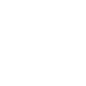 icon_com_print